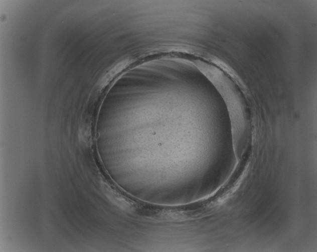 X0000062870977200601171417