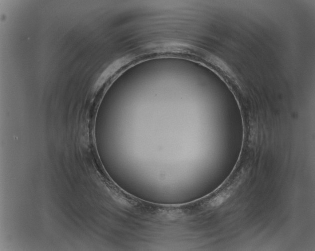 X0000062870978200601171417