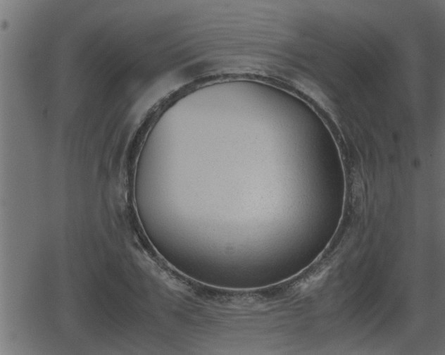 X0000062870979200601171417