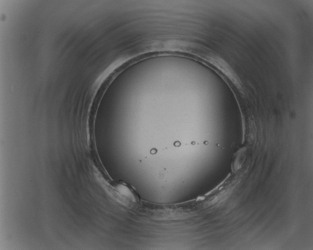 X0000062870980200601171417