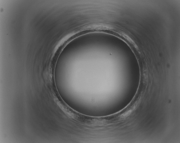 X0000062870981200601171417