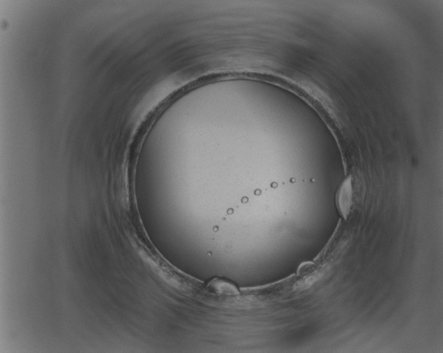 X0000062870982200601171417