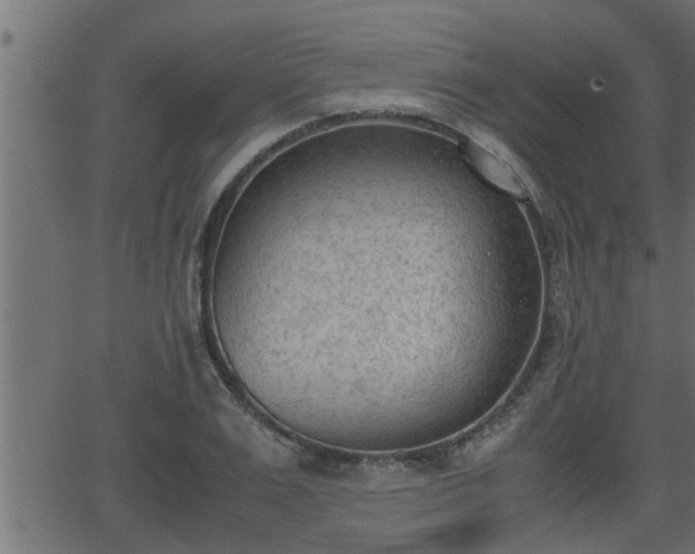 X0000062870983200601171417