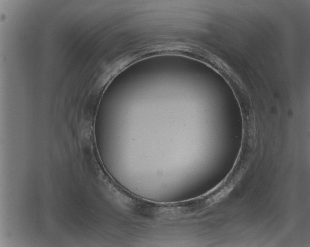 X0000062870985200601171417