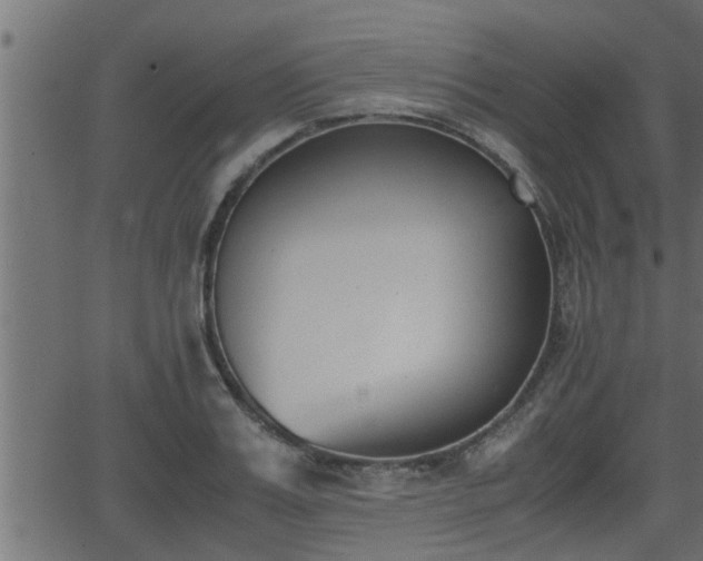 X0000062870987200601171417