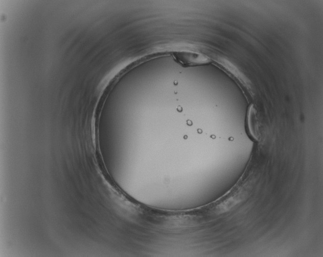 X0000062870988200601171417