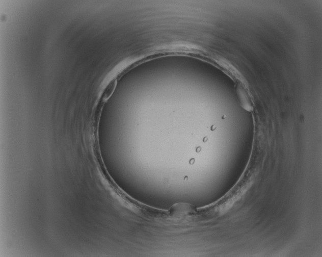 X0000062870989200601171417