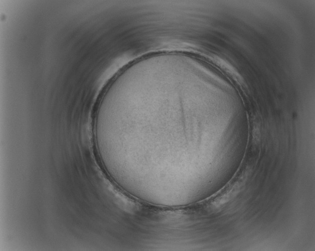 X0000062870990200601171417