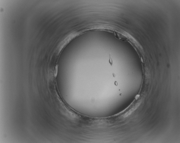 X0000062870993200601171416