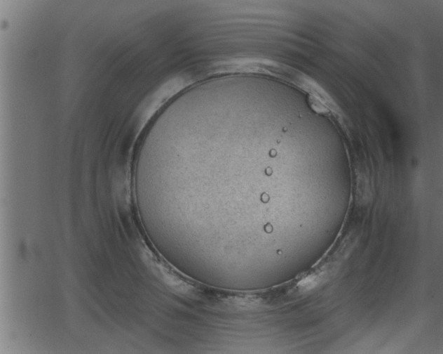 X0000062870994200601171416