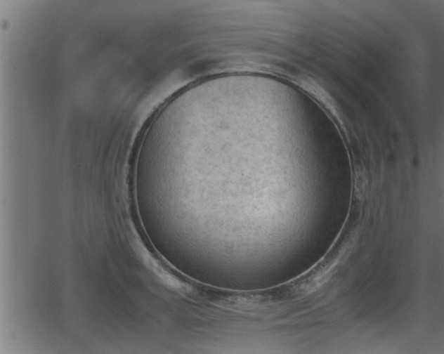 X0000062870995200601171416