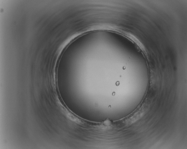 X0000062870996200601171416