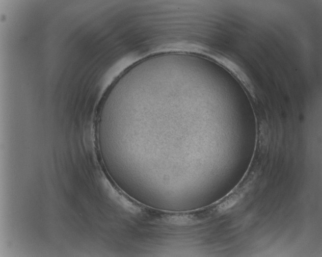 X0000062870998200601171416