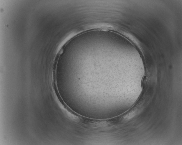 X0000062870999200601171416