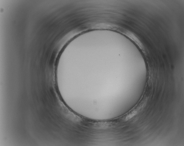 X0000062871000200601171416