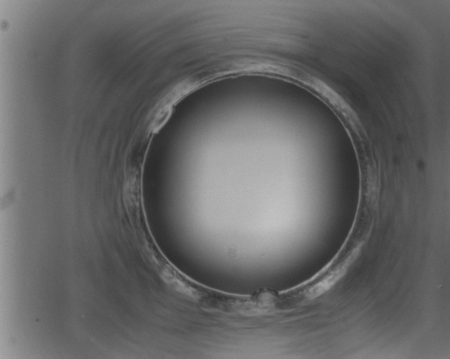 X0000062871001200601171416