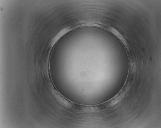 X0000062871002200601171416