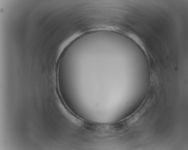 X0000062871003200601171416