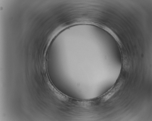 X0000062871004200601171416