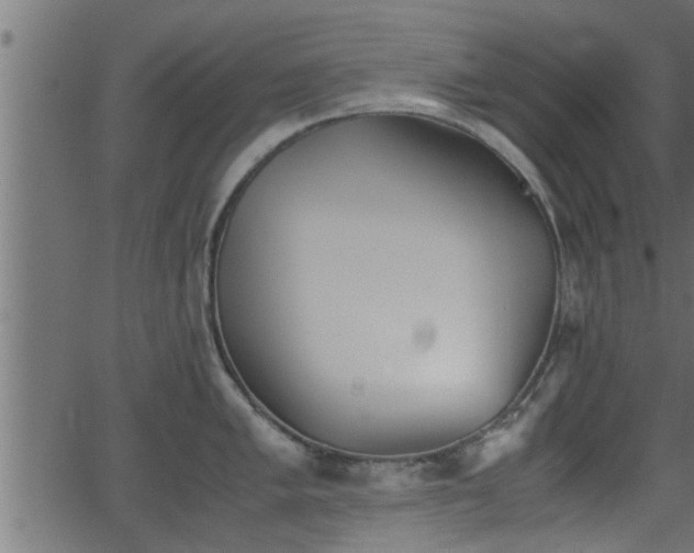 X0000062871005200601171416