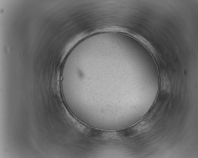 X0000062871006200601171416