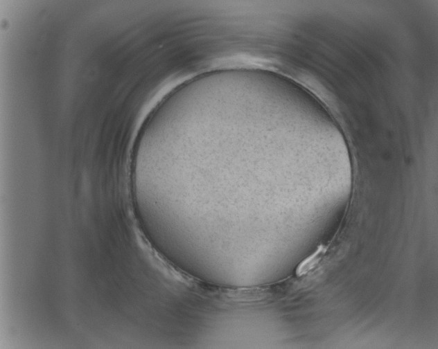 X0000062871008200601171416