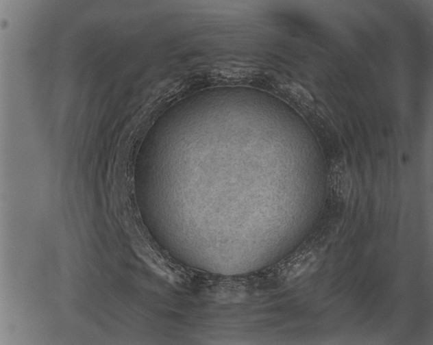 X0000062871009200601171415