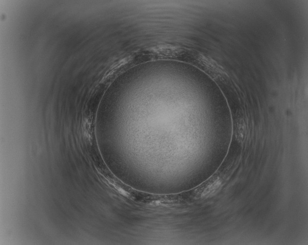 X0000062871010200601171415