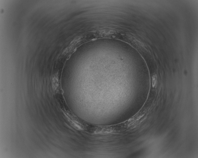 X0000062871011200601171415