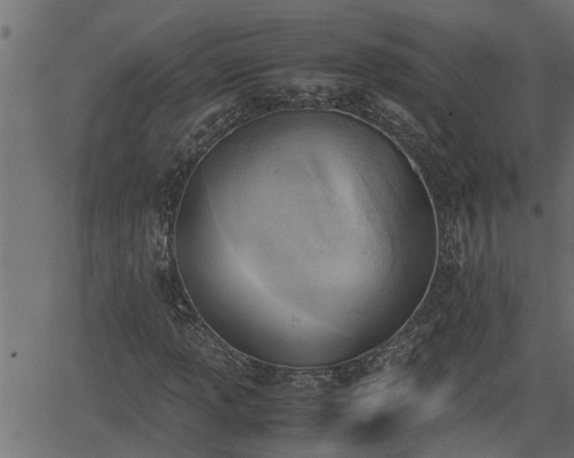 X0000062871013200601171416