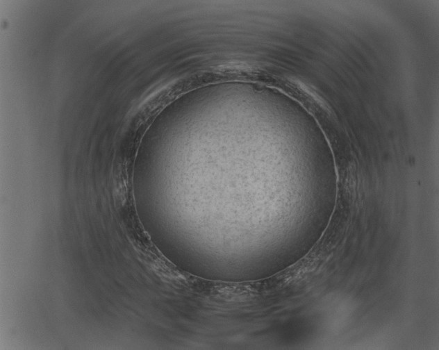 X0000062871015200601171416