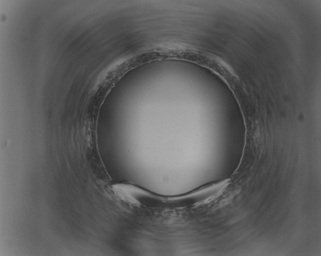 X0000062871016200601171416