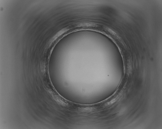 X0000062871017200601171416