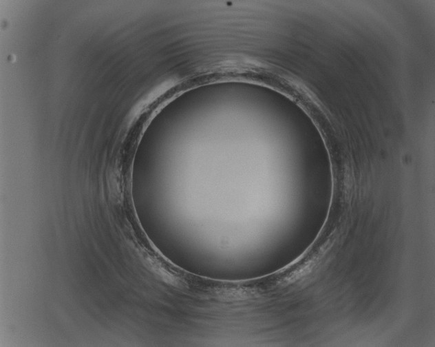 X0000062871018200601171416