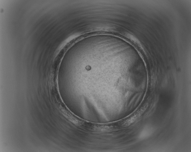 X0000062871019200601171416