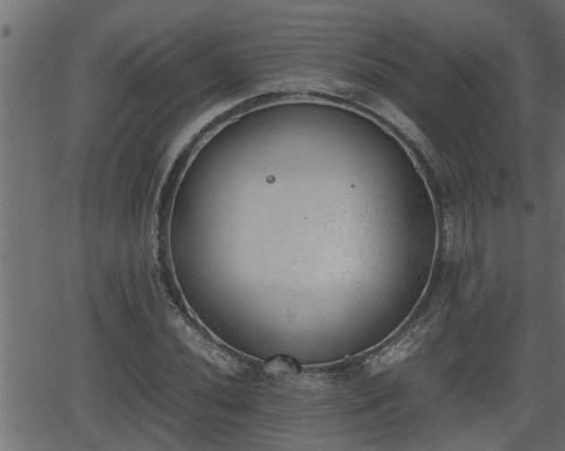 X0000062871020200601171416