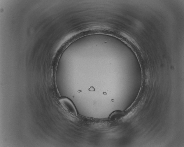 X0000062871021200601171416