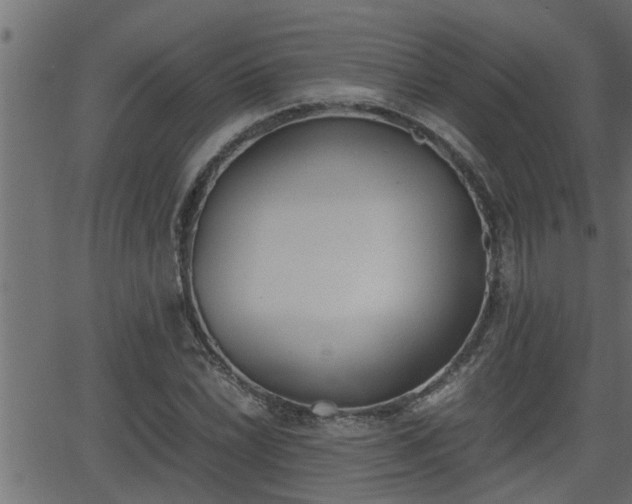 X0000062871022200601171416