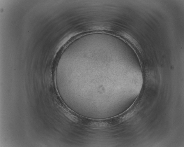 X0000062871023200601171416