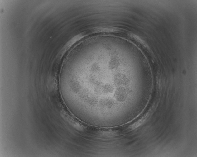 X0000062871025200601171416