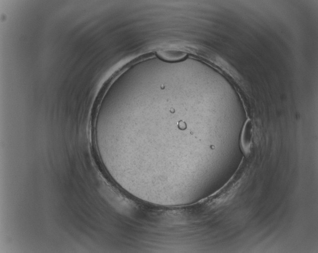 X0000062871028200601171416