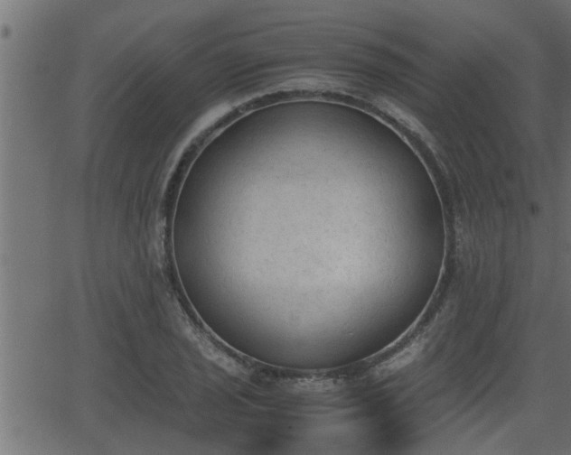 X0000062871029200601171416