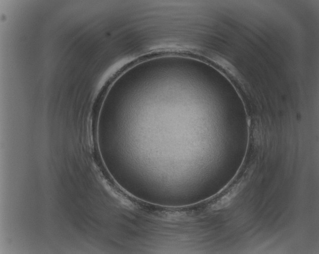 X0000062871030200601171416