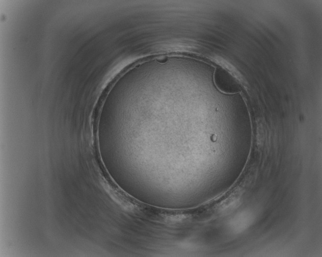 X0000062871031200601171416