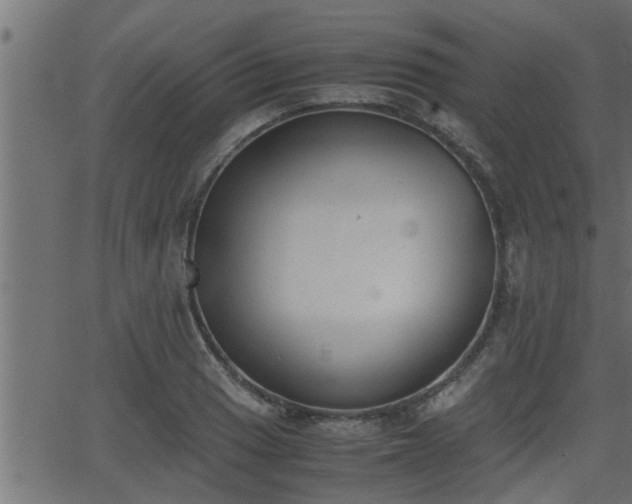 X0000062871033200601171416