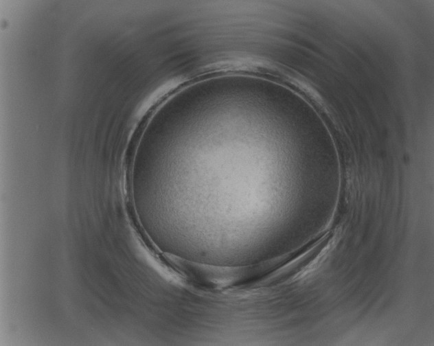 X0000062871034200601171416