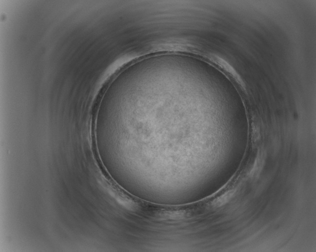 X0000062871035200601171416