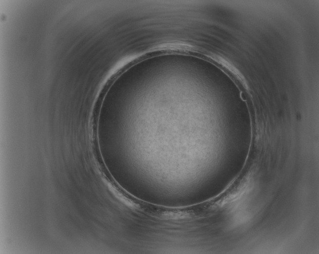 X0000062871037200601171416