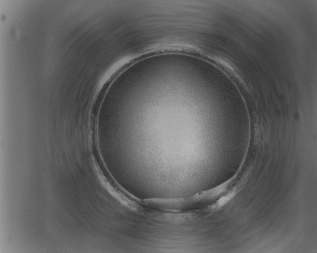 X0000062871038200601171416