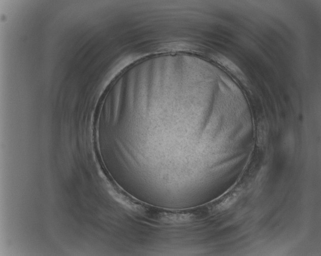 X0000062871039200601171416